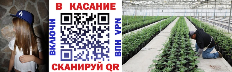 Виды наркоты Ессентуки АМФЕТАМИН  ГАШ  СК 