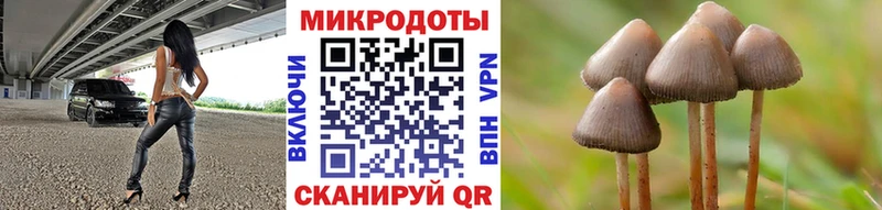 Галлюциногенные грибы Magic Shrooms  Ессентуки 